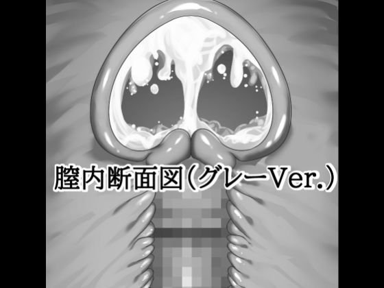 d_813604【膣内断面図素材（グレーVer.）】水の木無料エロ漫画フル raw hitomi