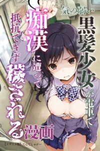 s886atrlw01372【気の弱い黒髪少女が電車で痴●に遭って抵抗できず穢される漫画【モザイク版】】無料エロ漫画フル raw hitomi