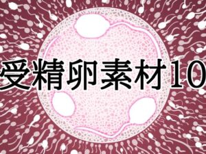 d_832158【受精卵素材10】水の木無料エロ漫画フル raw hitomi