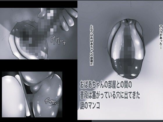 壁マンコ おばあちゃんと孫のガチ小作りセックス5 モノクロ版 d_838286 画像1
